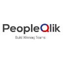 PeopleQlik - HR & Payroll Software Solutions logo